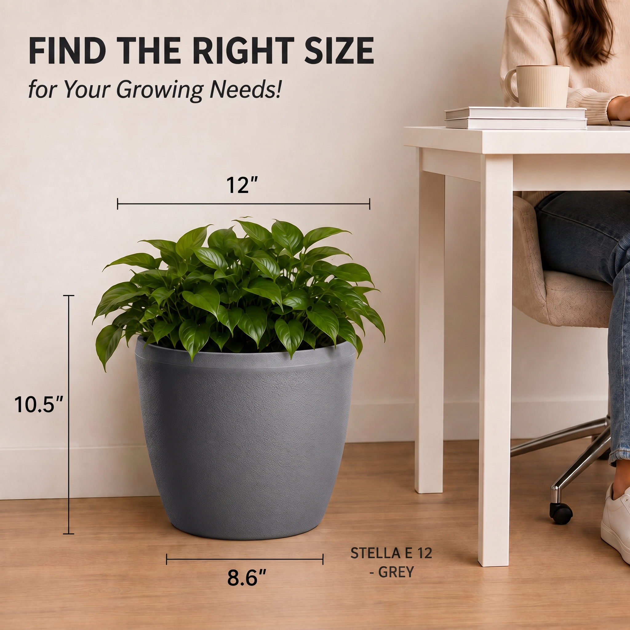 SHERA | STELLA E PLANTER
