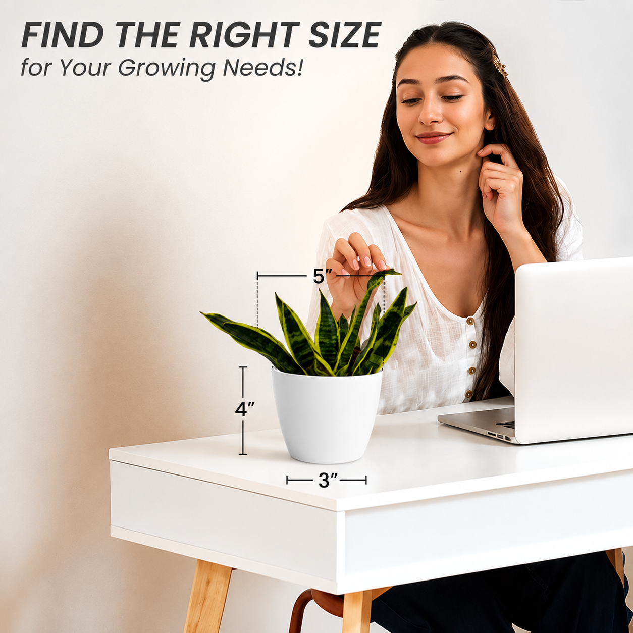 SHERA | STELLA PLANTER