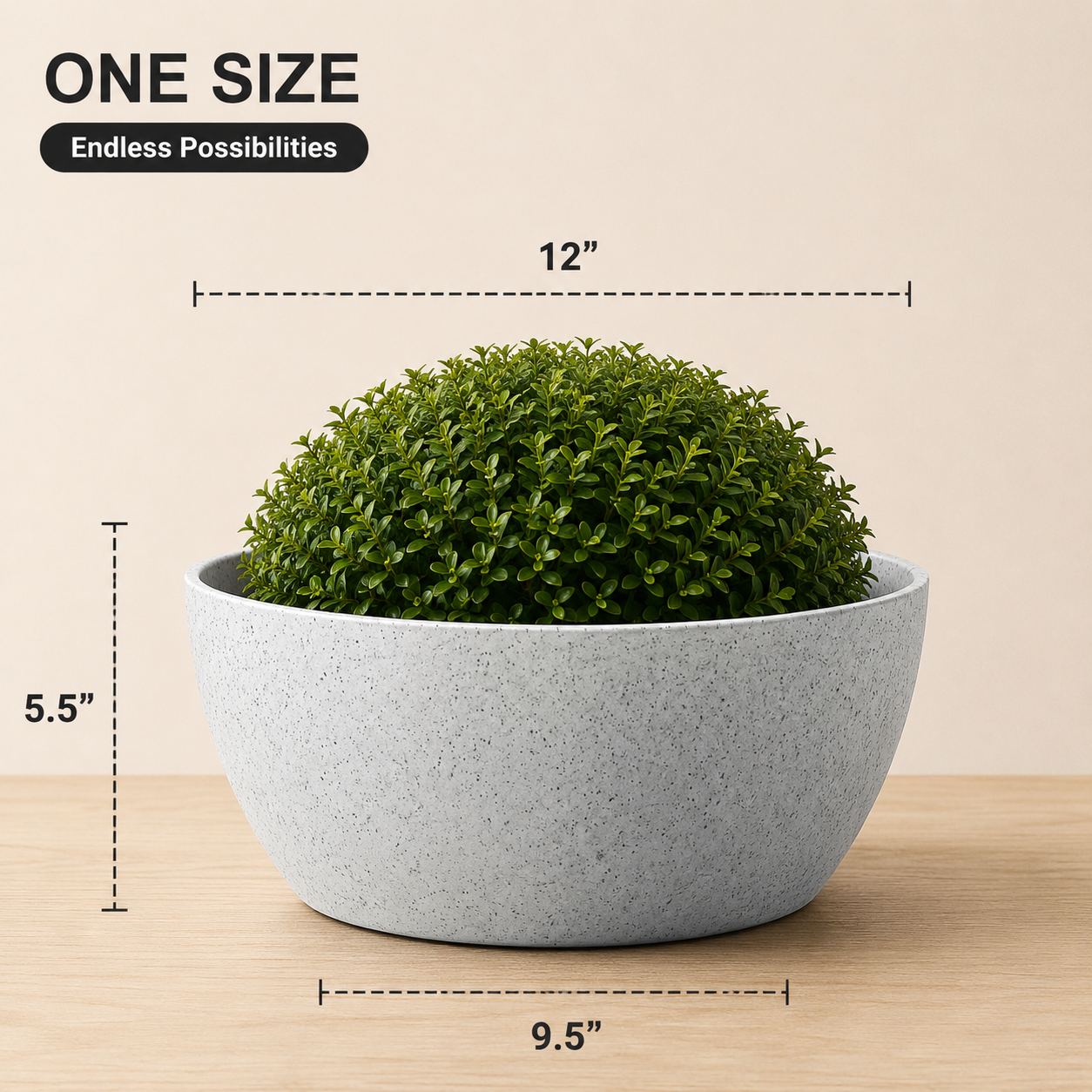 SHERA | STELLA K PLANTER
