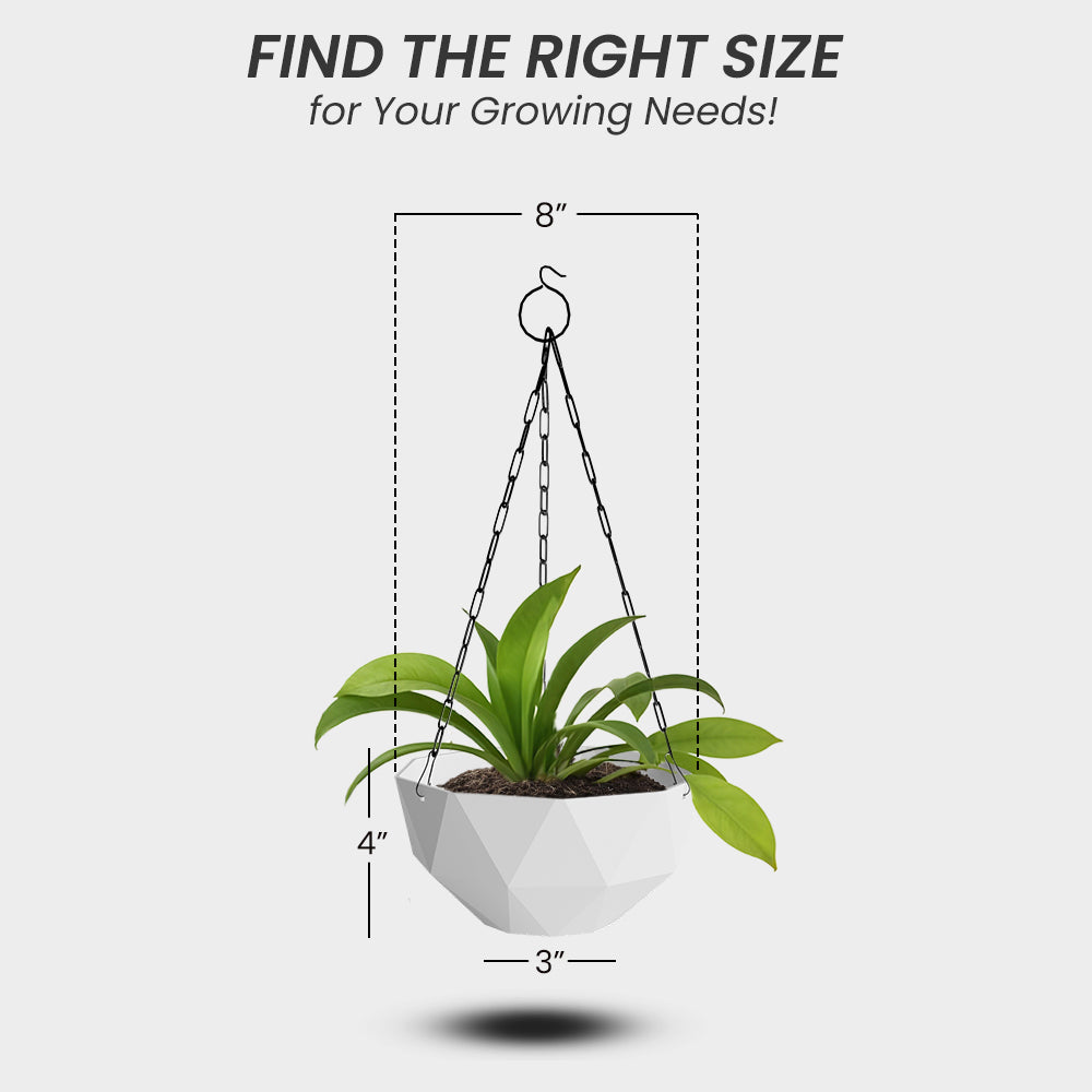 SHERA | DMD HANGING