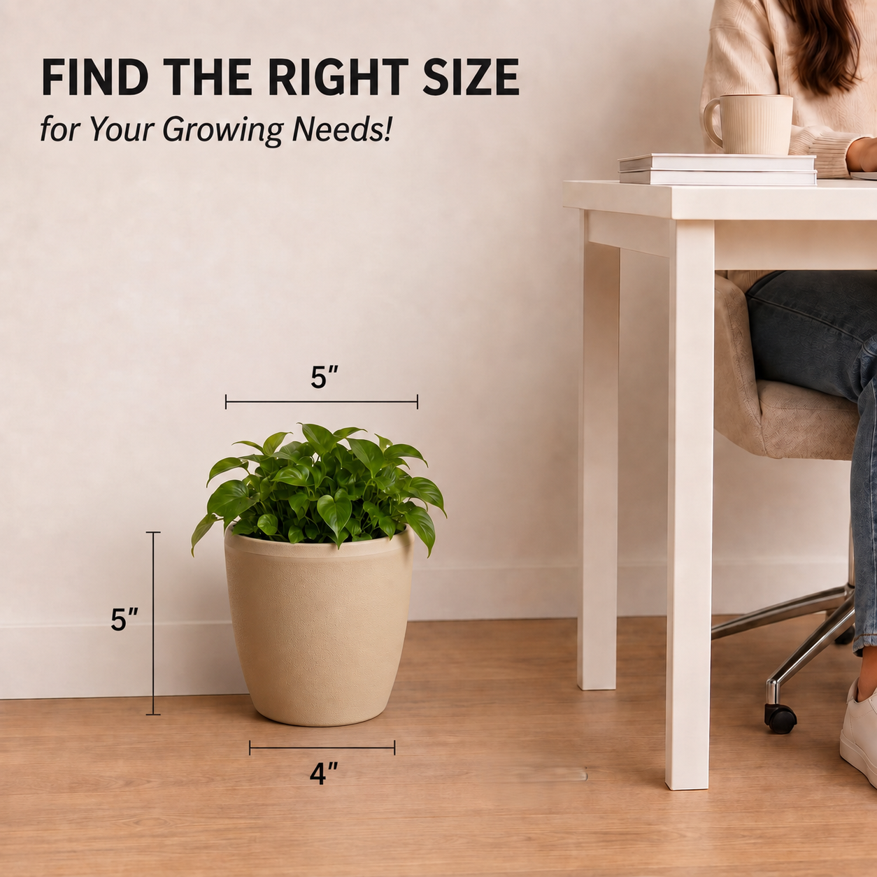 SHERA | STELLA E PLANTER