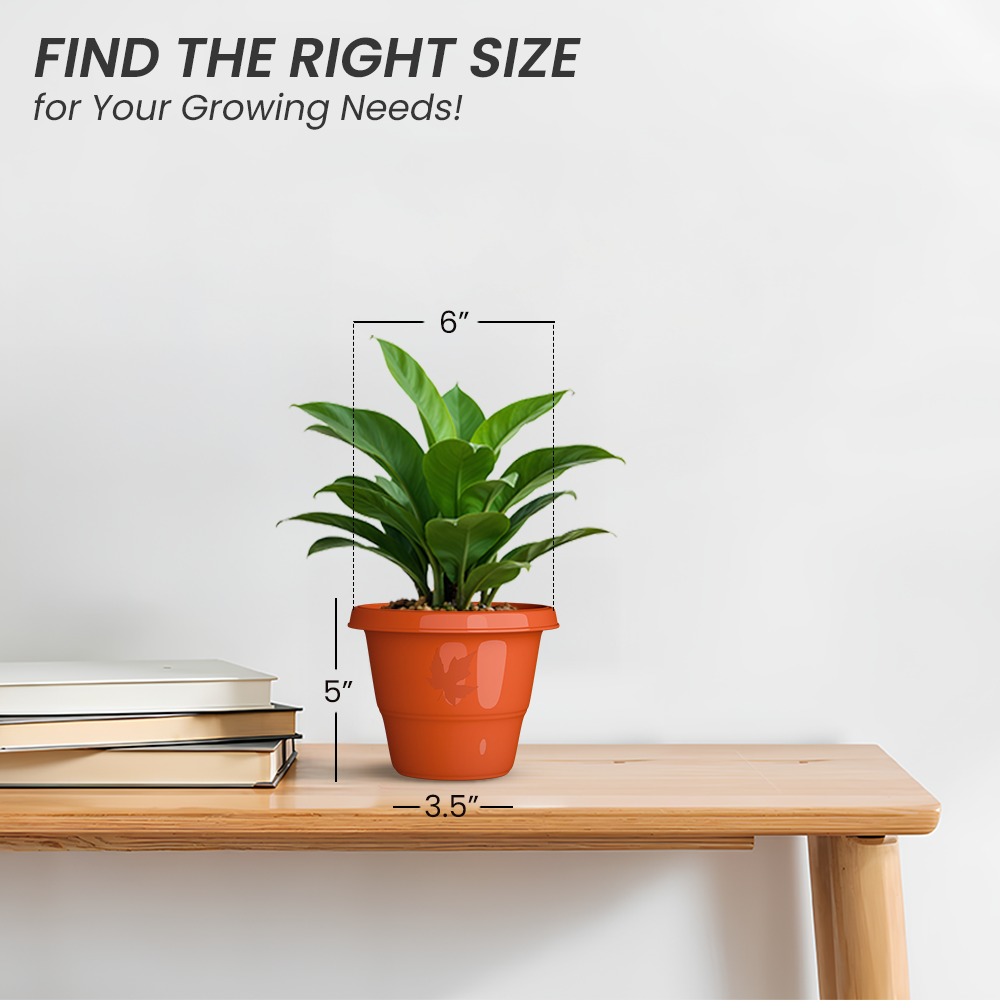 SHERA | RD PLANTER