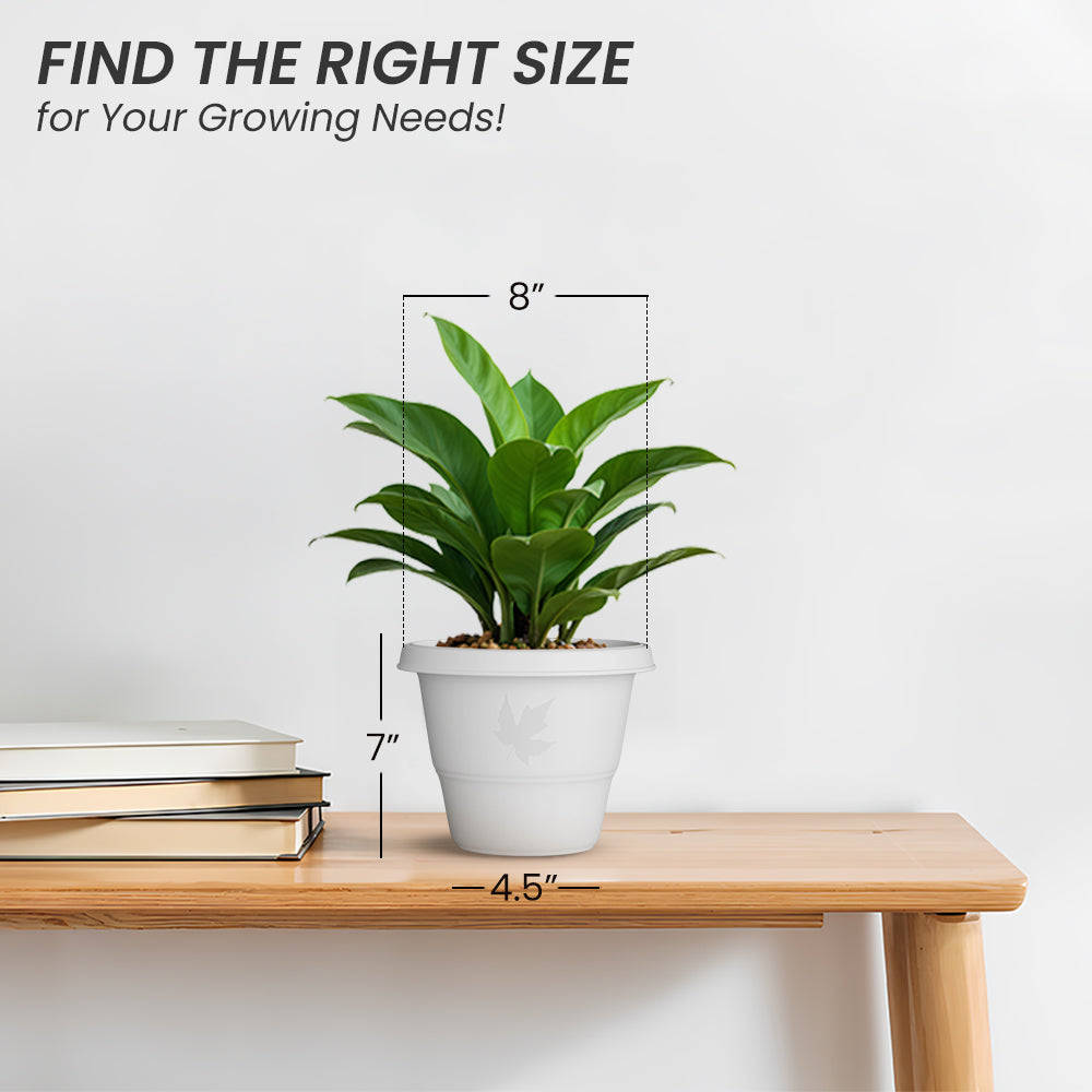 SHERA | RD PLANTER