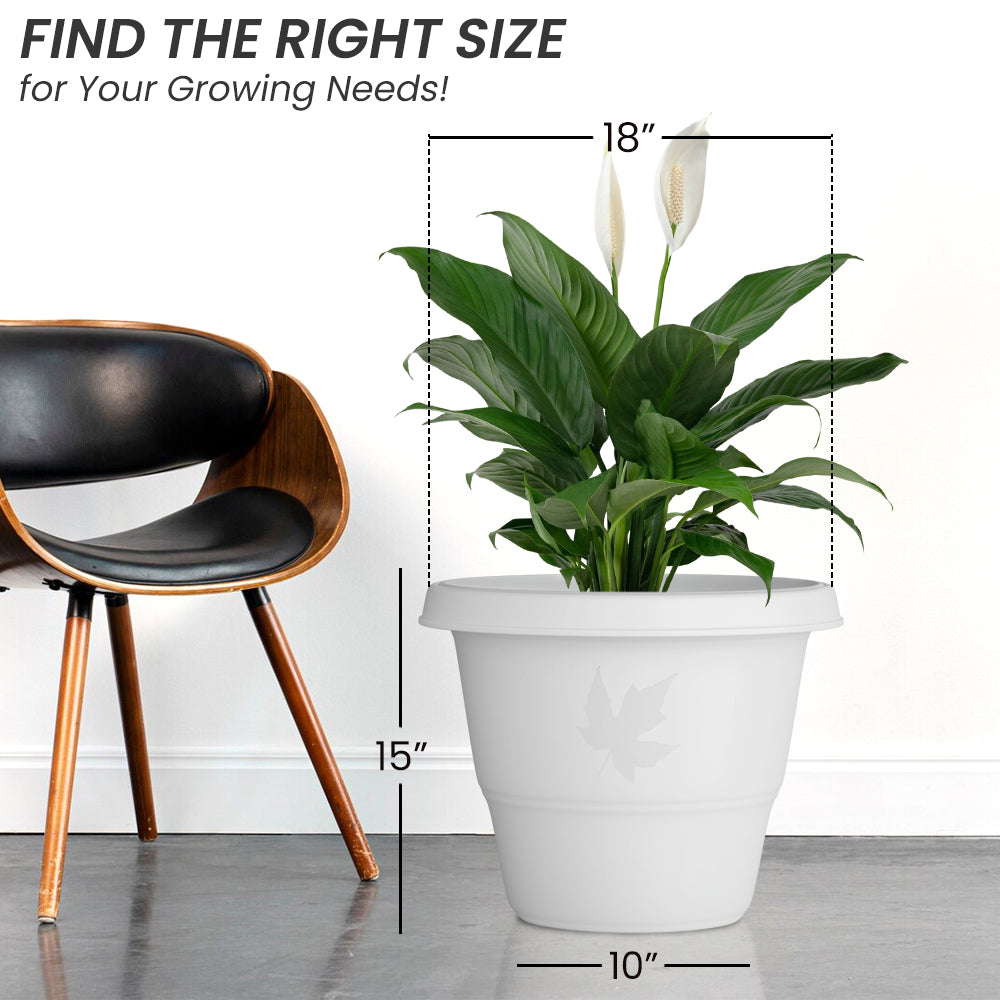 SHERA | RD PLANTER