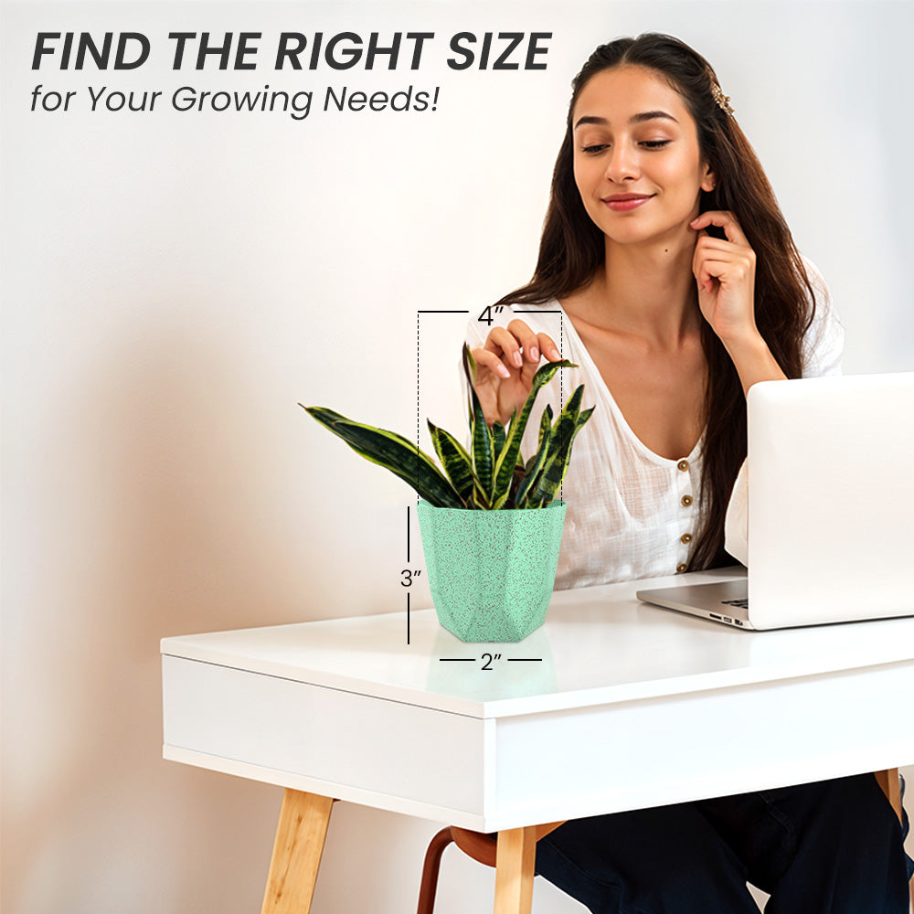 SHERA | HEXA BIO PLANTER