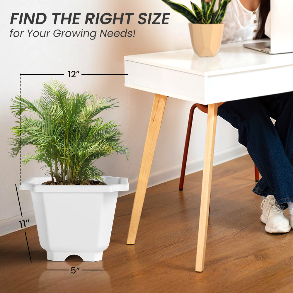 SHERA | OCTA PLANTER SET OF 12