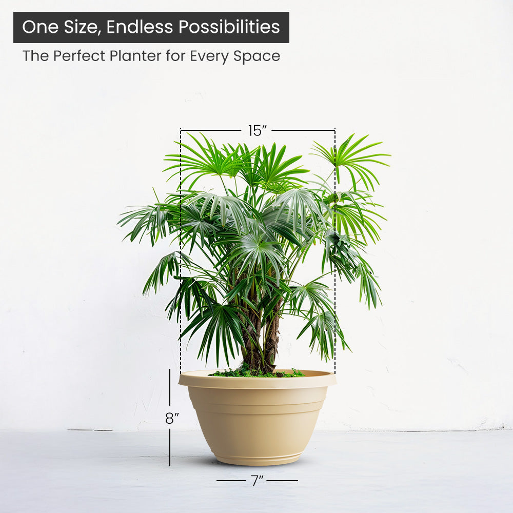 SHERA | BOTANICA BONSAI KTR PLANTER