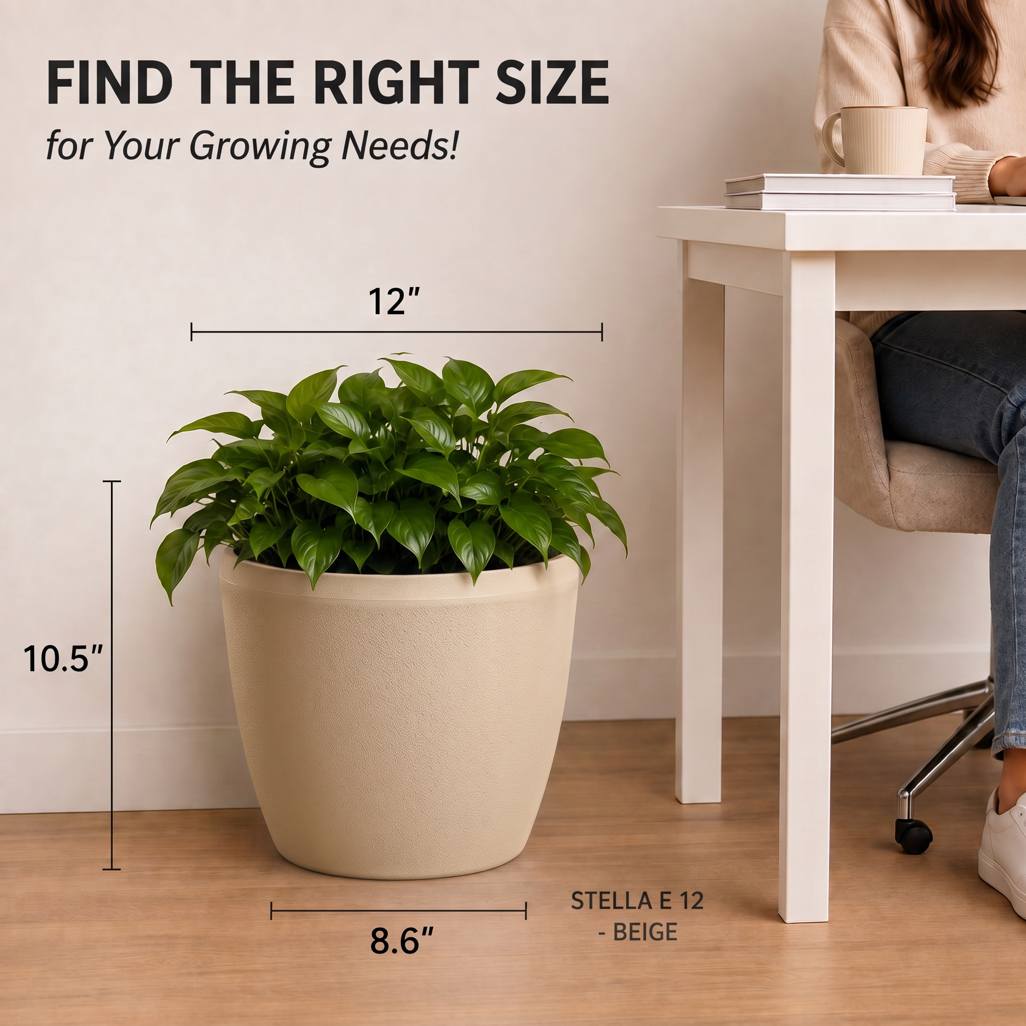 SHERA | STELLA E PLANTER