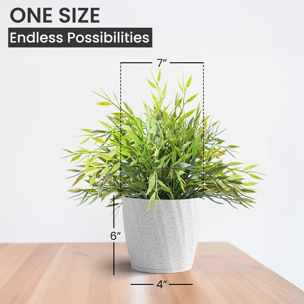 SHERA | ZINNIA PLANTER