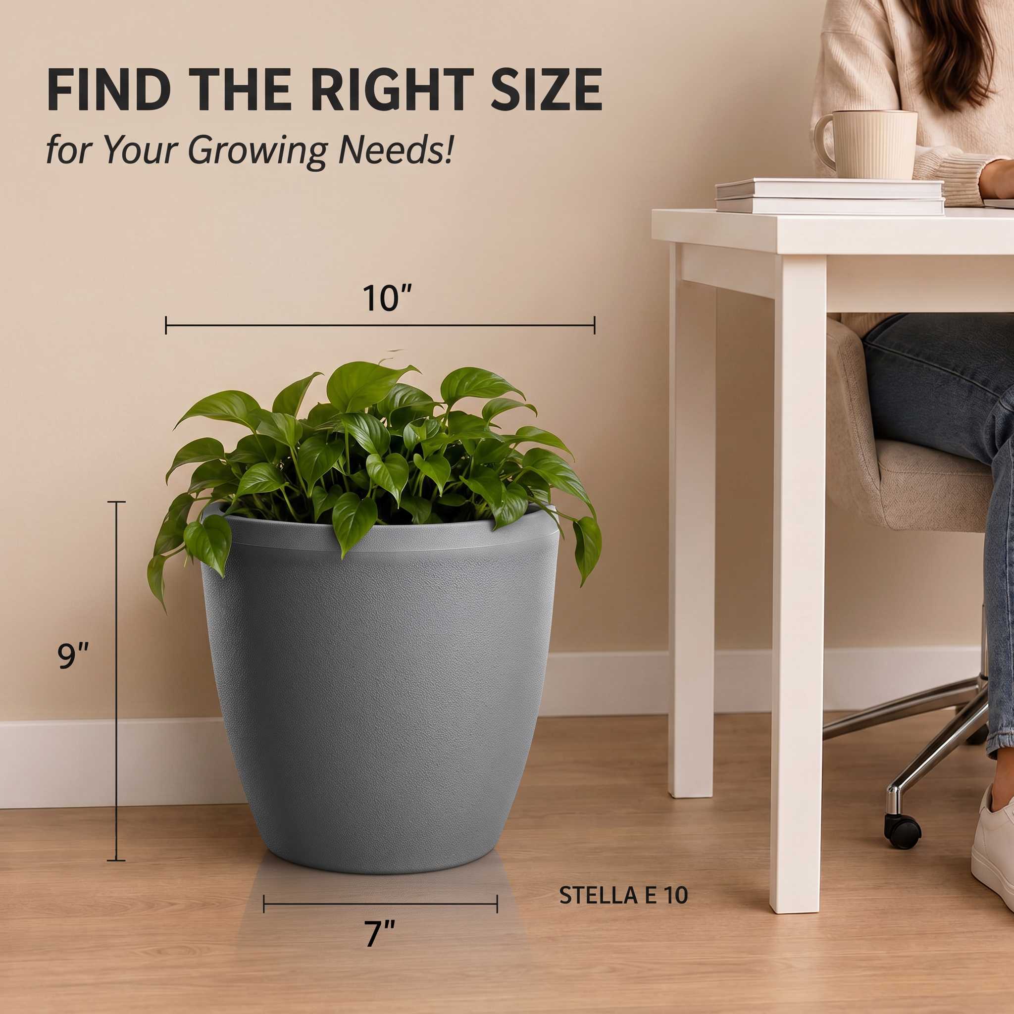 SHERA | STELLA E PLANTER