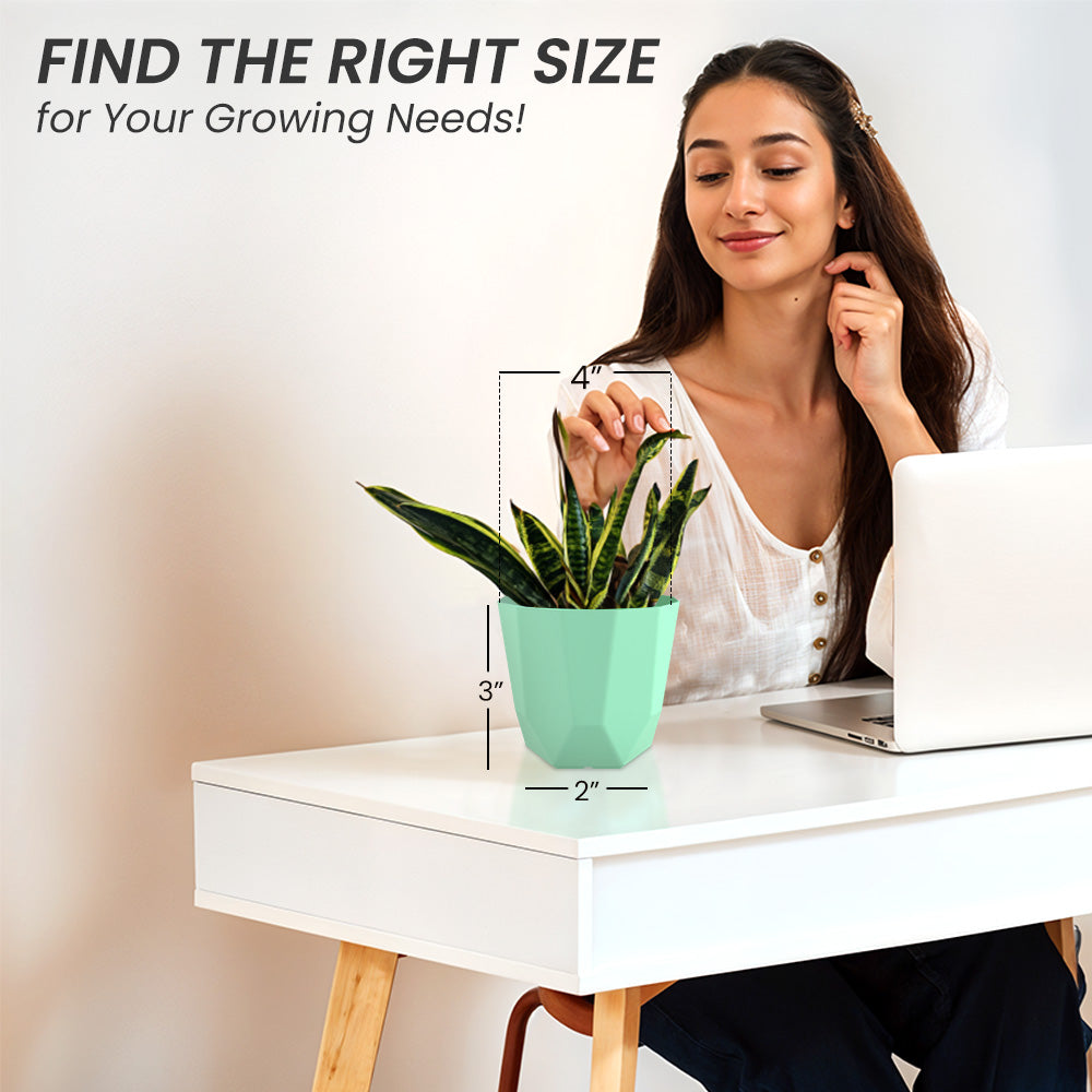 SHERA | HEXA PLANTER
