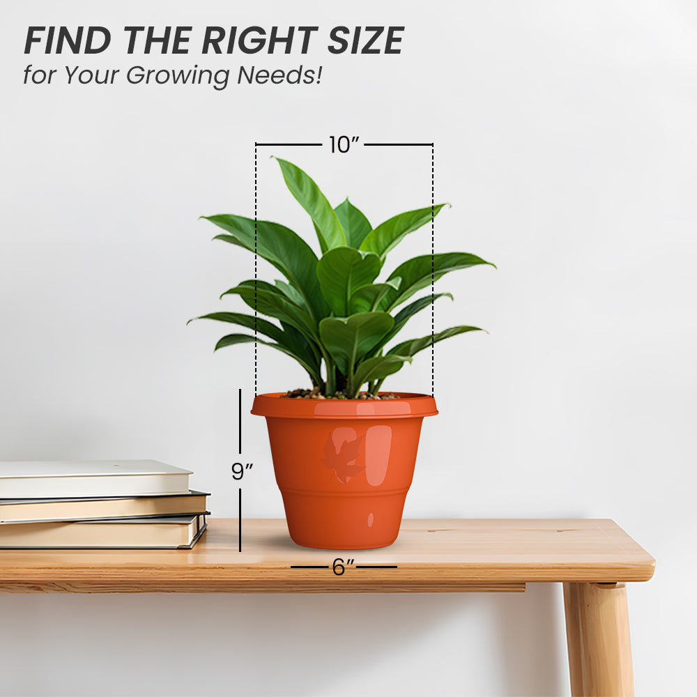SHERA | RD PLANTER