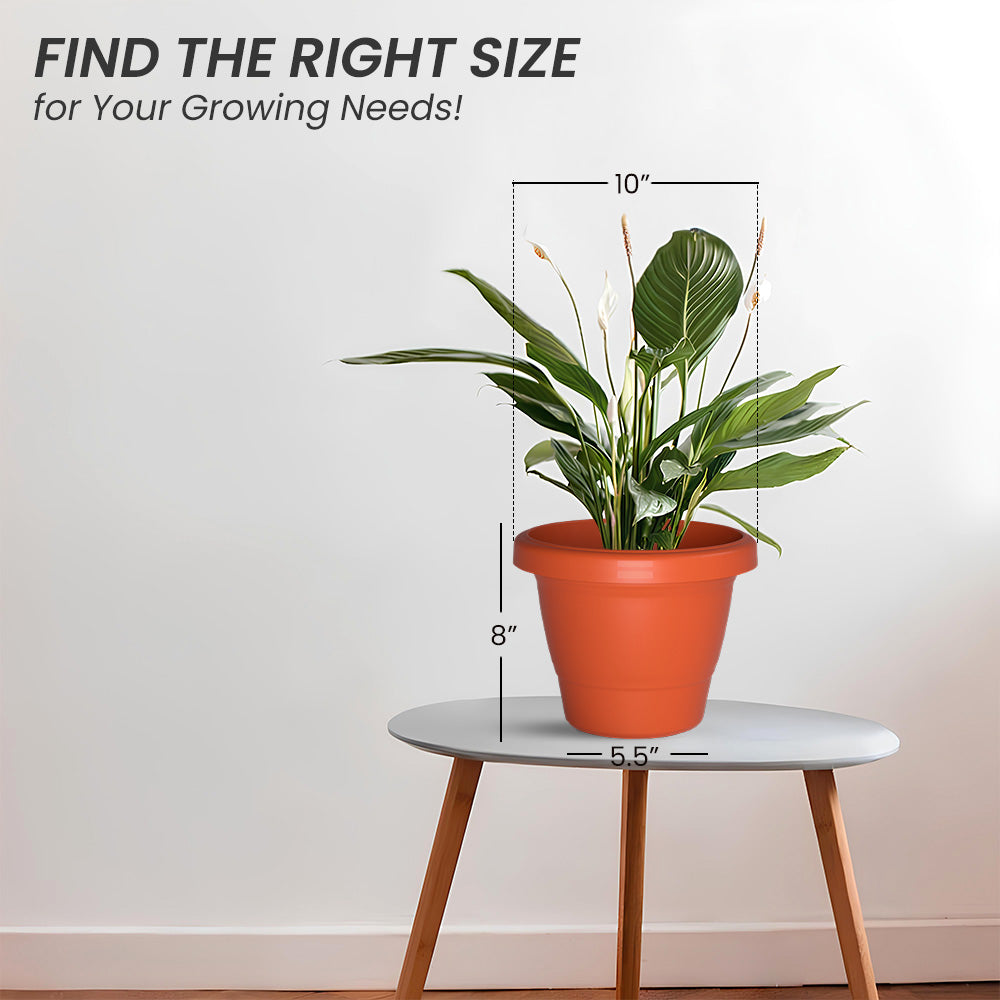 SHERA | SD PLANTER