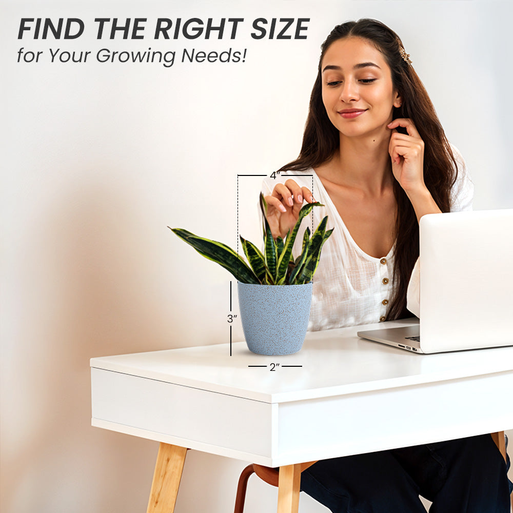 SHERA | STELLA BIO PLANTER