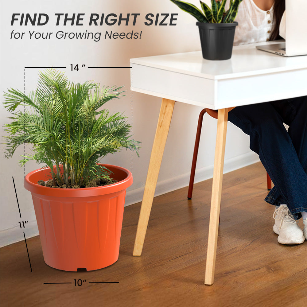 SHERA | CROWN PLANTER