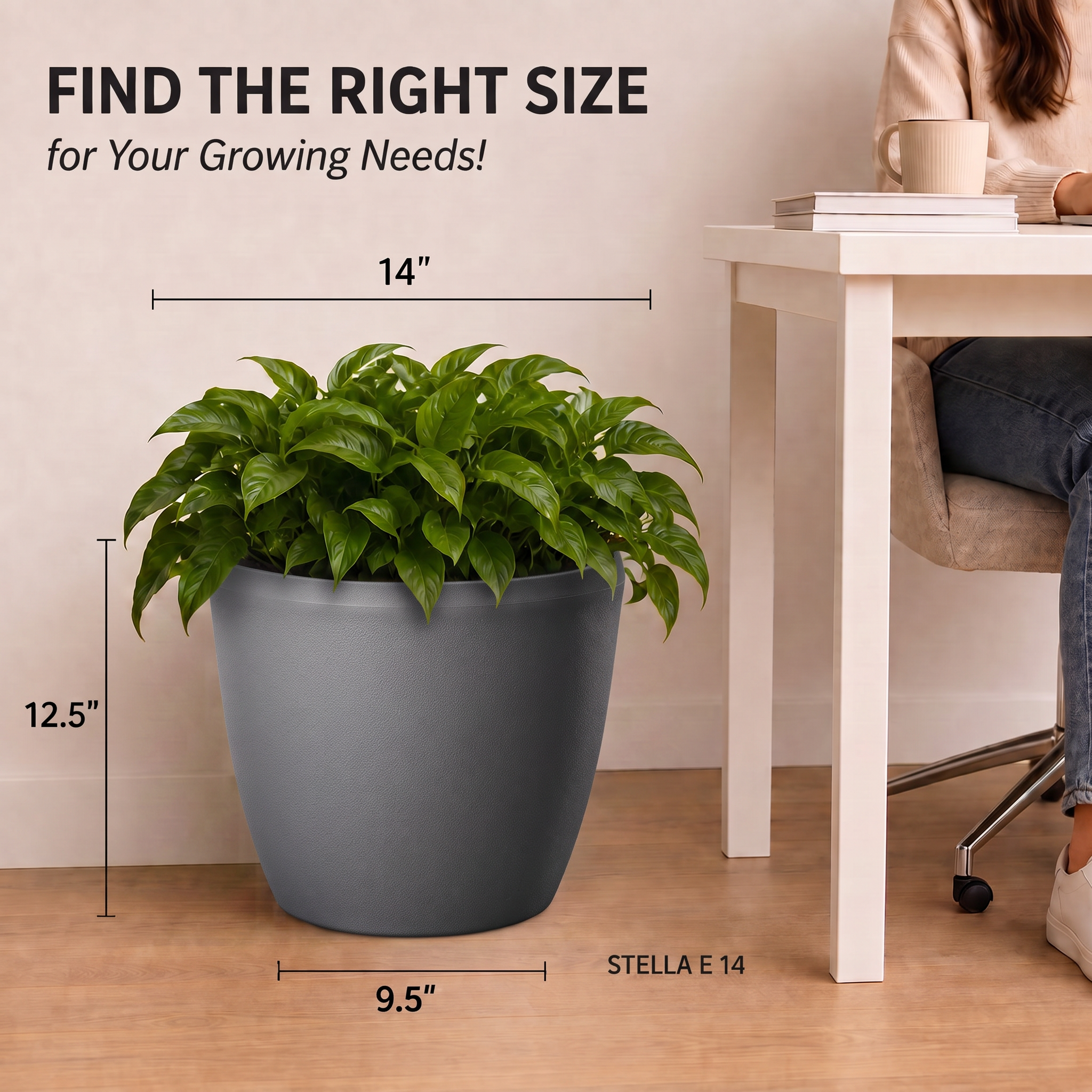 SHERA | STELLA E PLANTER