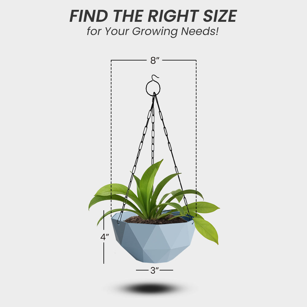 SHERA | DMD HANGING