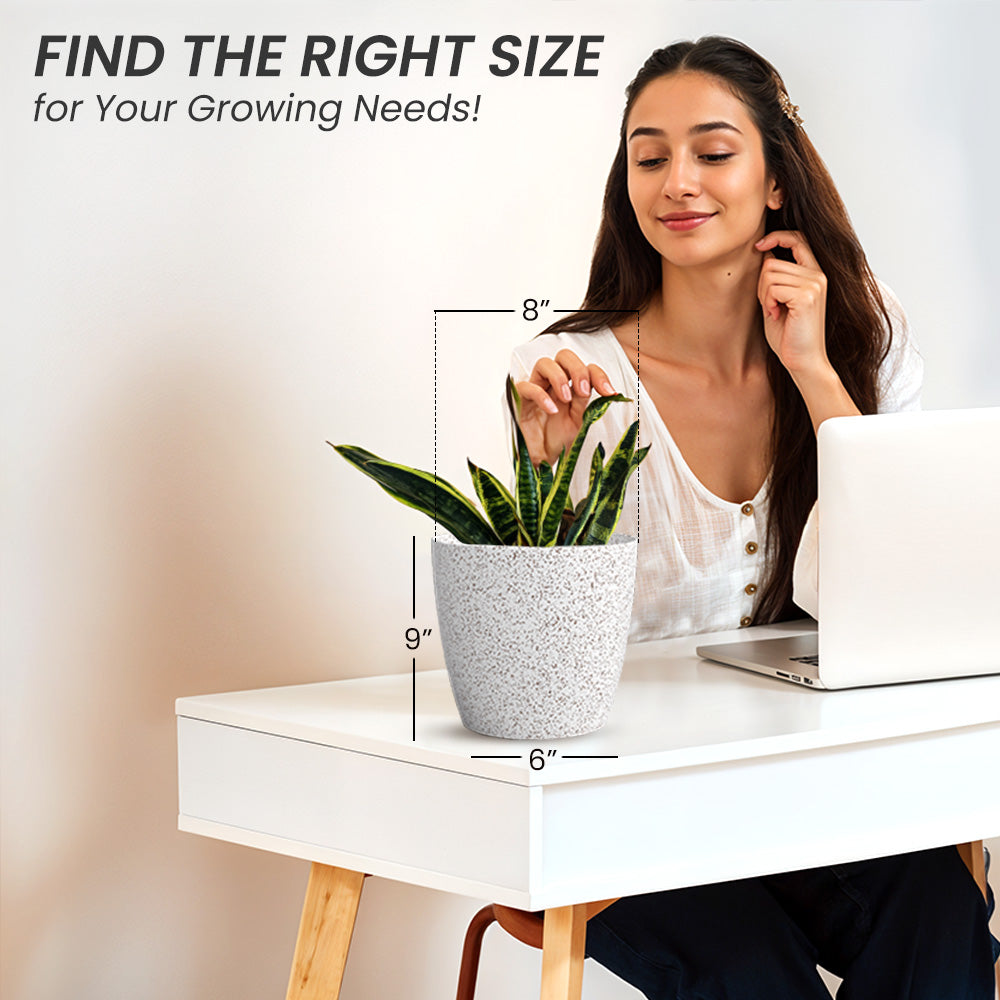 SHERA | STELLA PLANTER