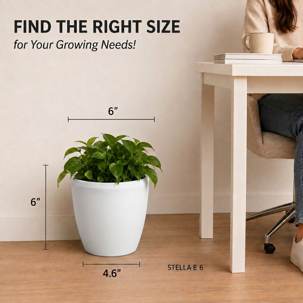 SHERA | STELLA E PLANTER