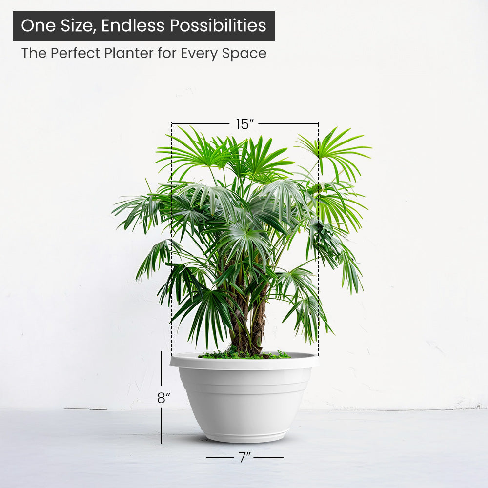 SHERA | BOTANICA BONSAI KTR PLANTER