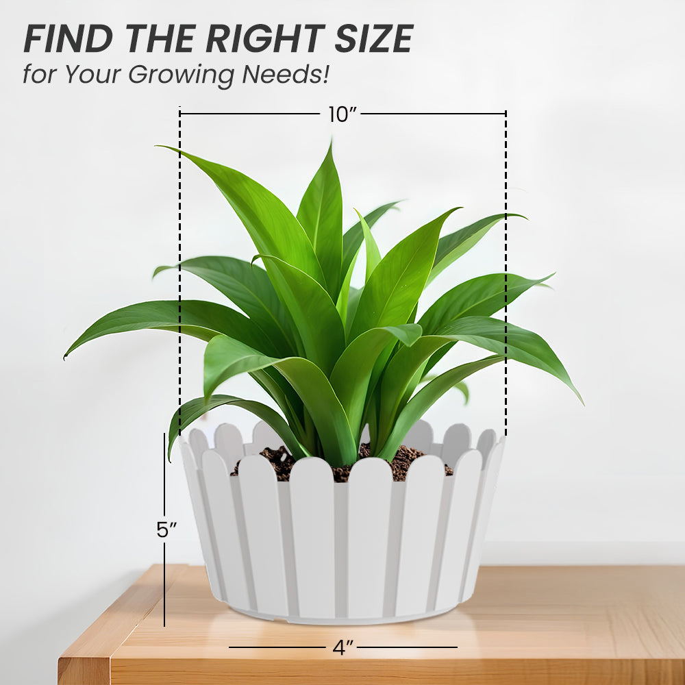 SHERA | FENCE KTR PLANTER