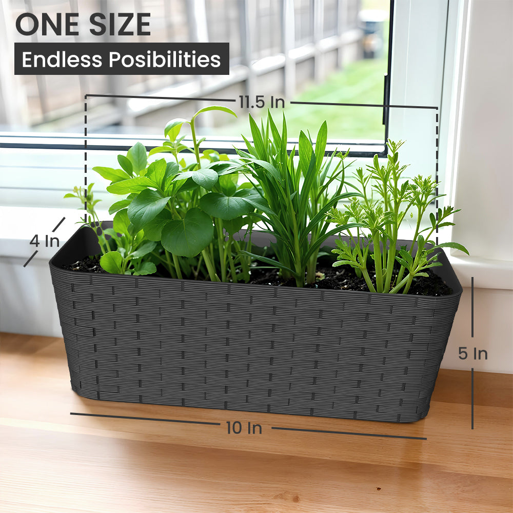 SHERA | RATTAN TRAY