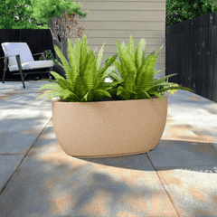 FOX B | PCTR PLANTER