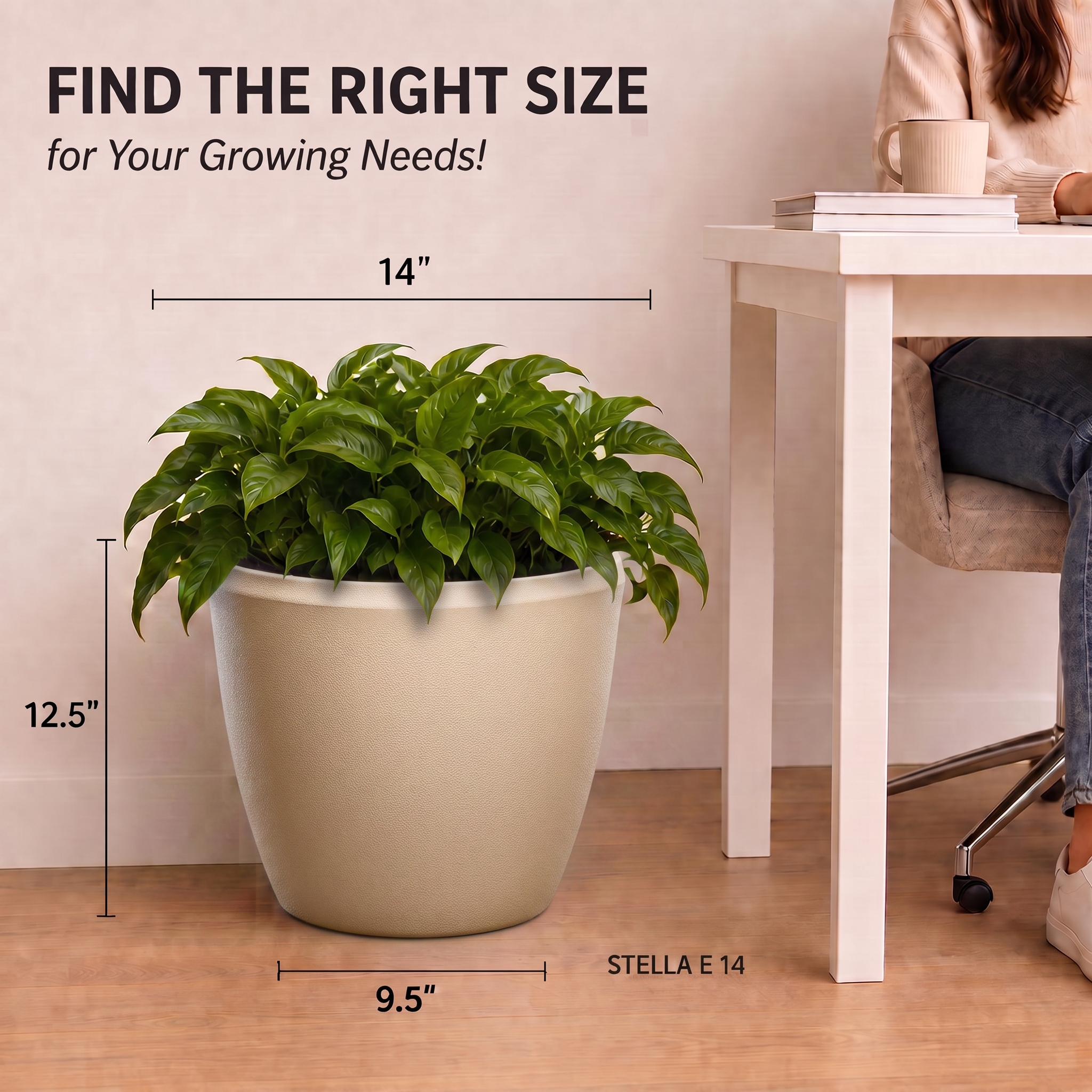 SHERA | STELLA E PLANTER