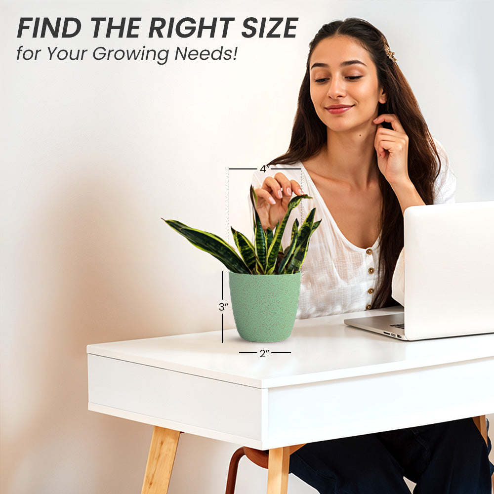 SHERA | STELLA BIO PLANTER