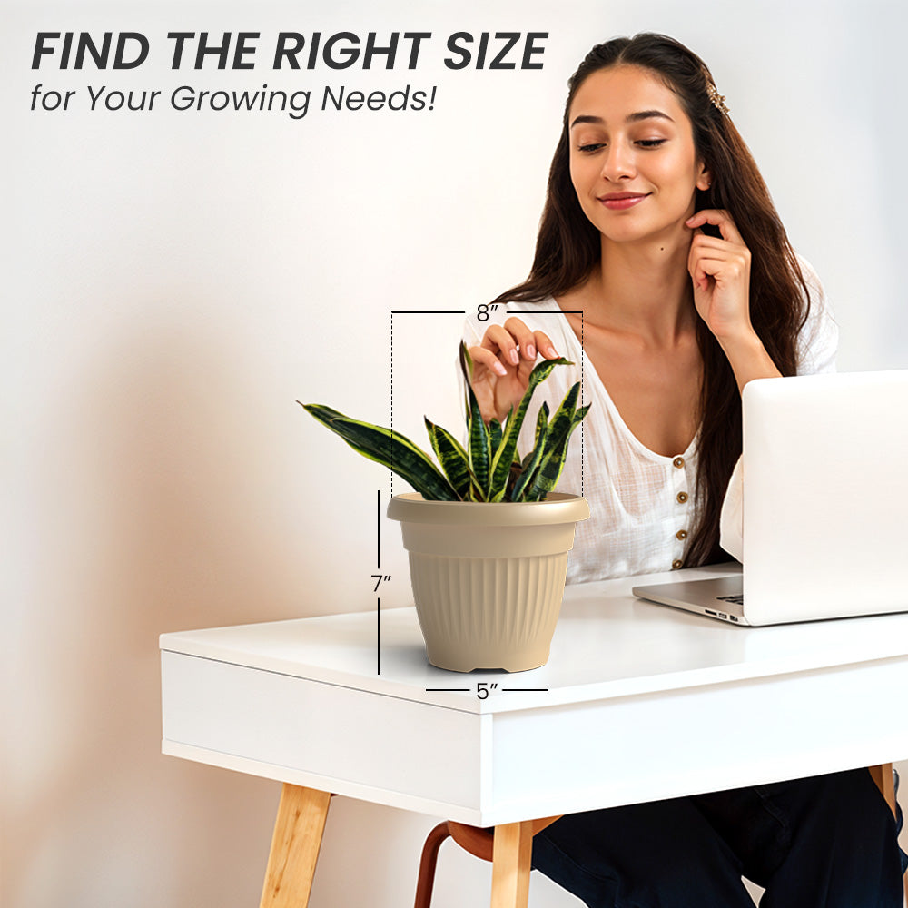 SHERA | BLOOM PLANTER
