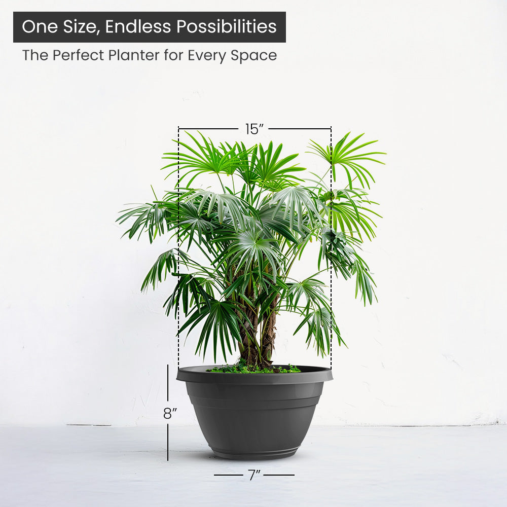 SHERA | BOTANICA BONSAI KTR PLANTER