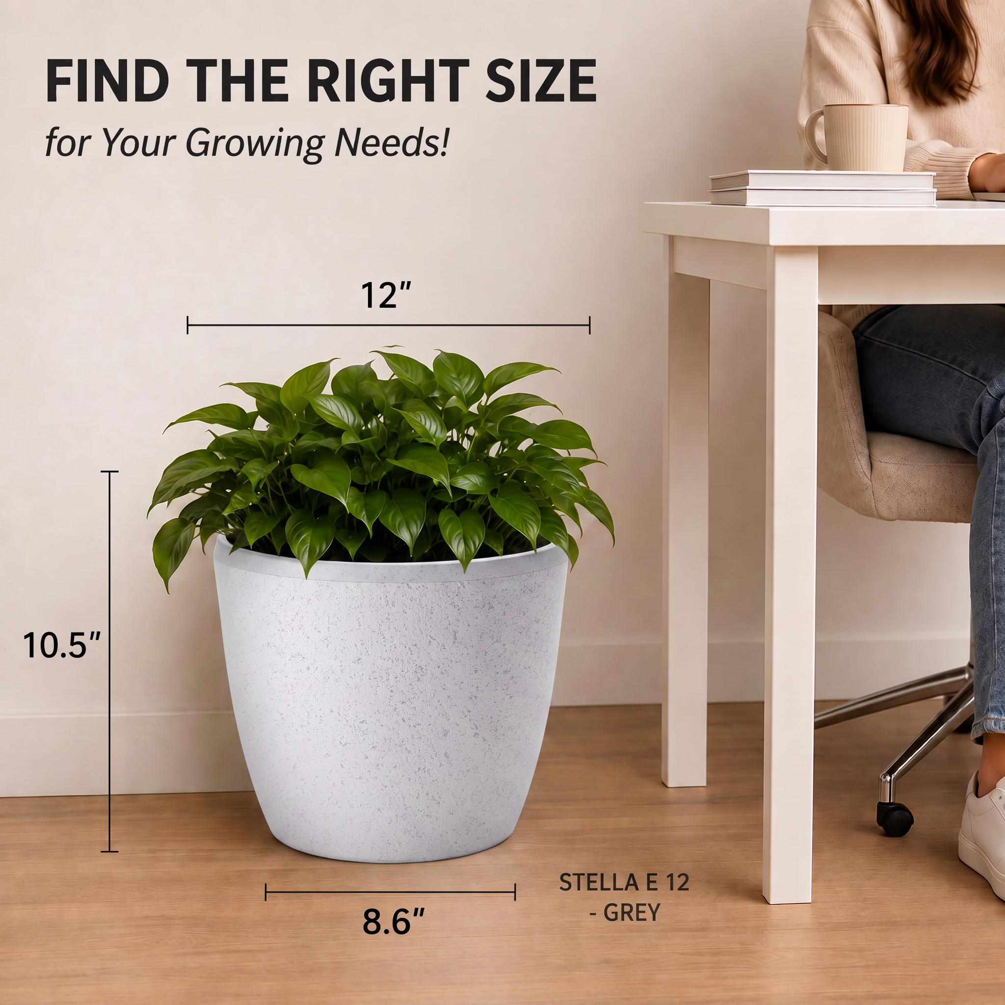 SHERA | STELLA E PLANTER