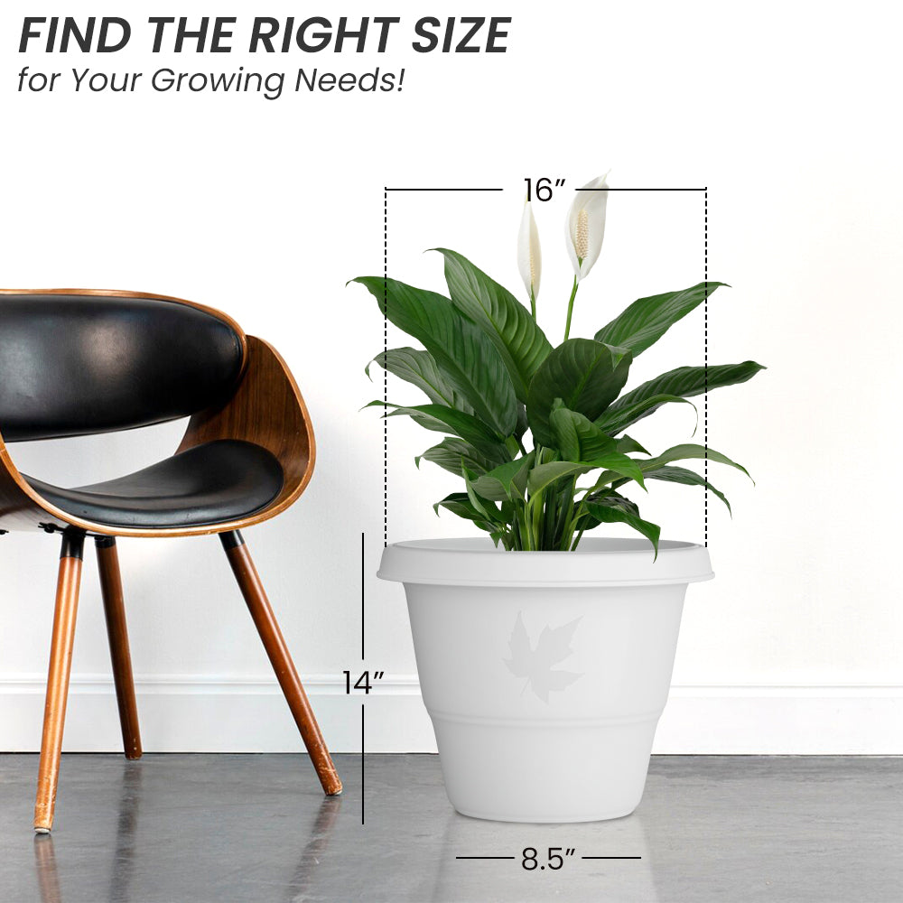 SHERA | RD PLANTER
