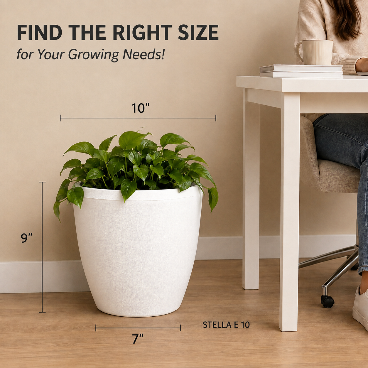 SHERA | STELLA E PLANTER