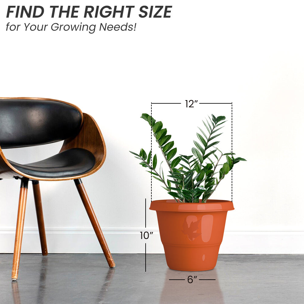 SHERA | RD PLANTER