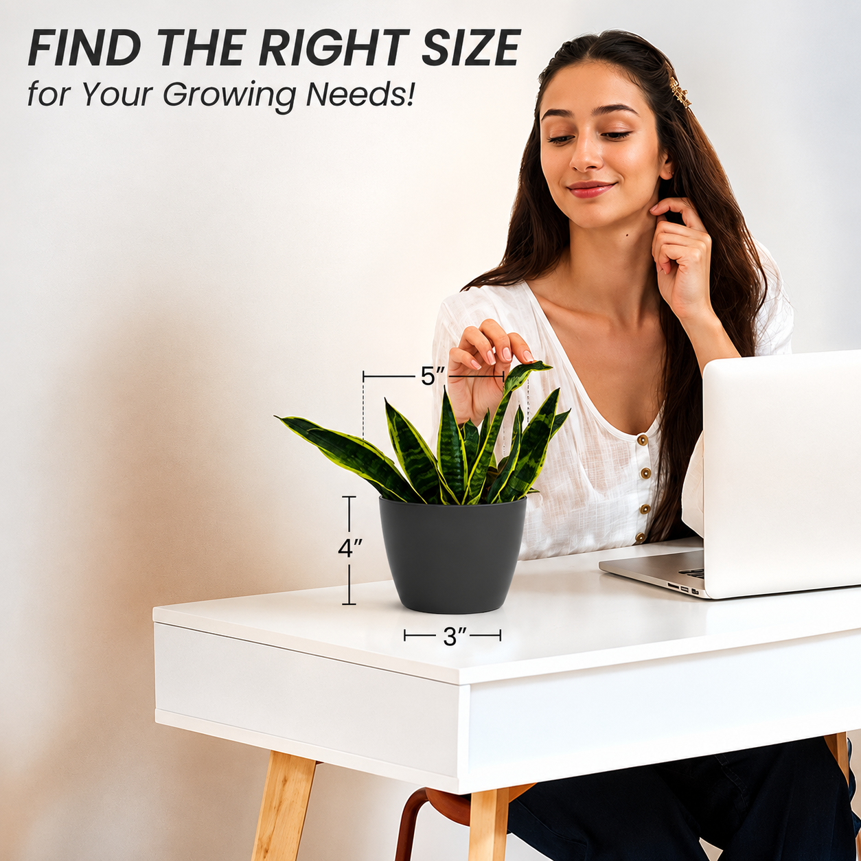 SHERA | STELLA PLANTER