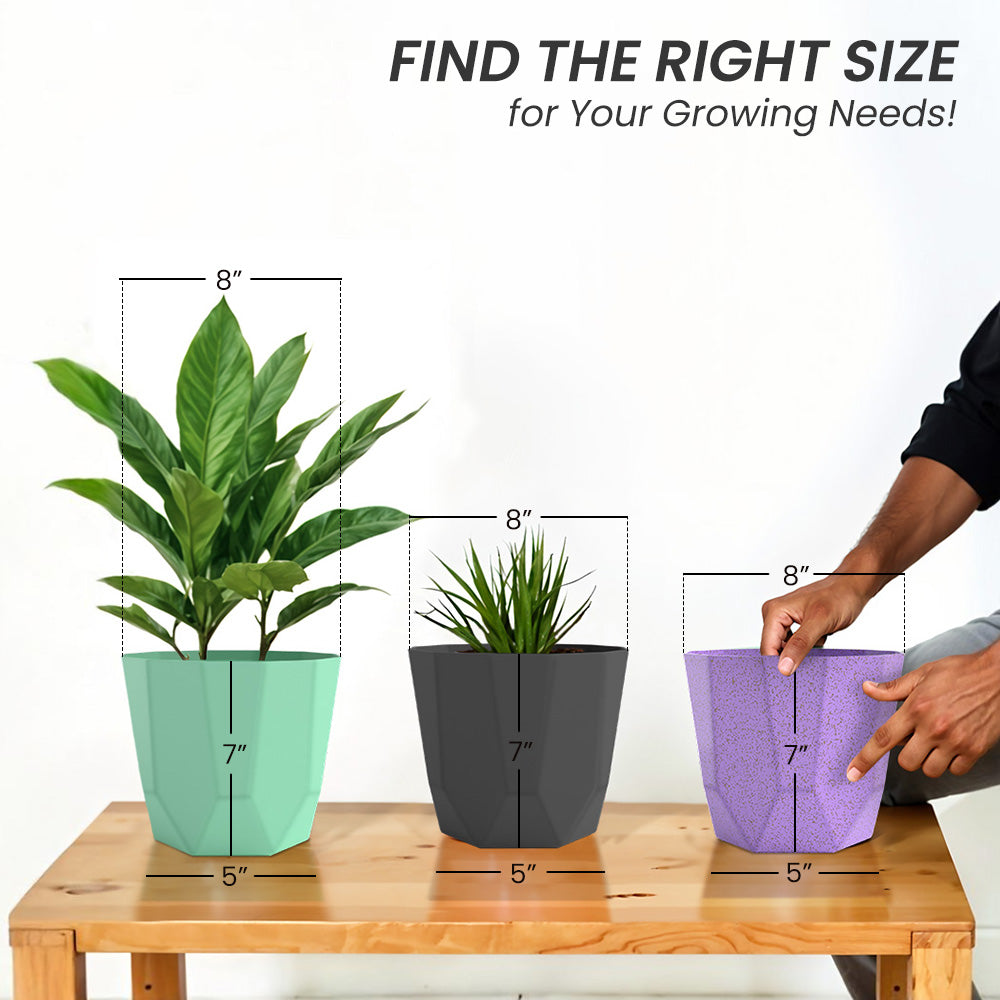 SHERA | HEXA BIO PLANTER