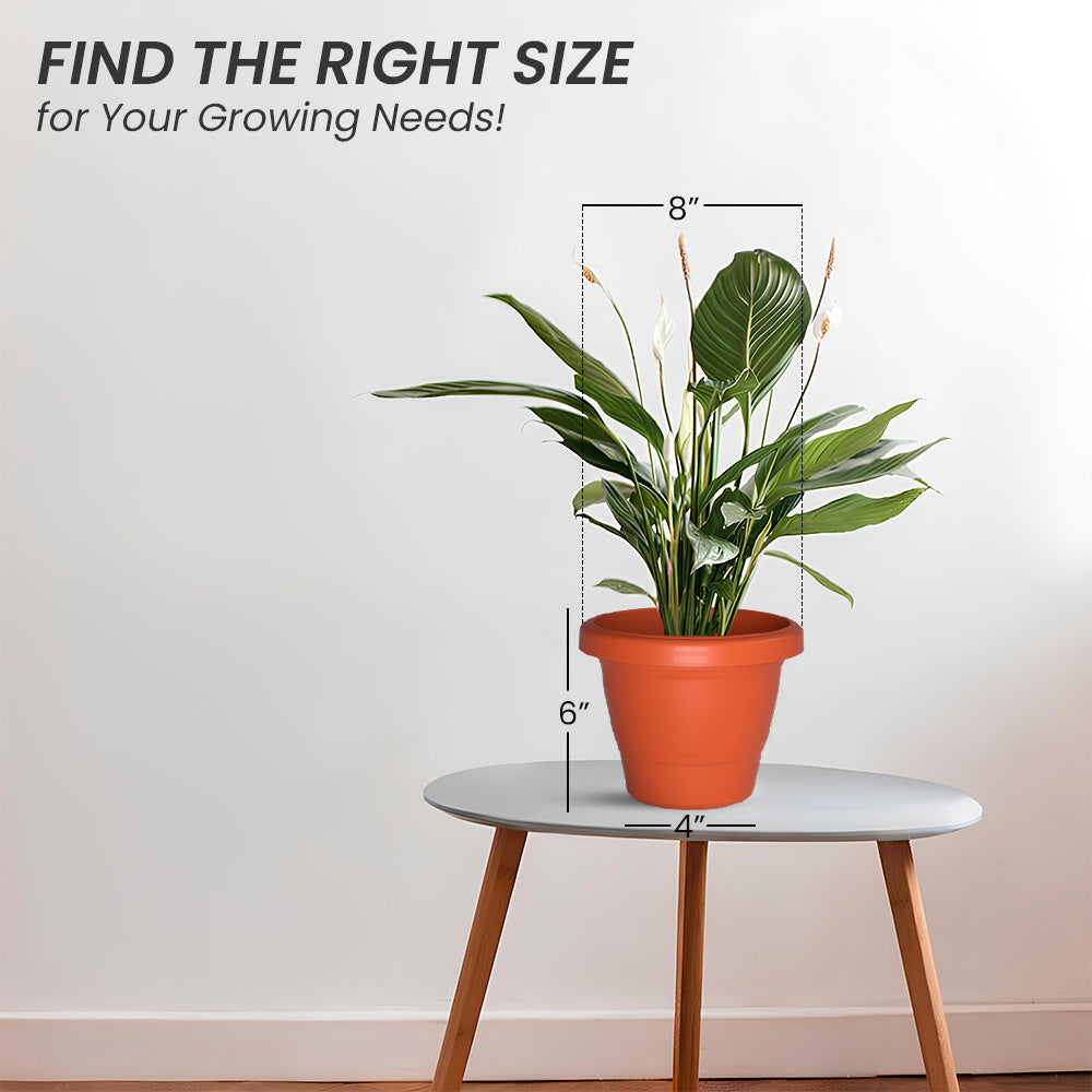 SHERA | SD PLANTER