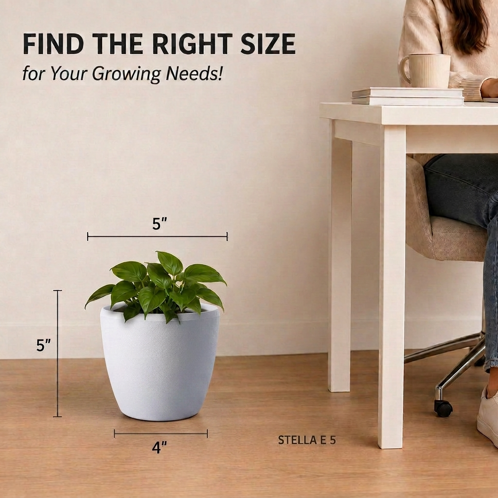 SHERA | STELLA E PLANTER