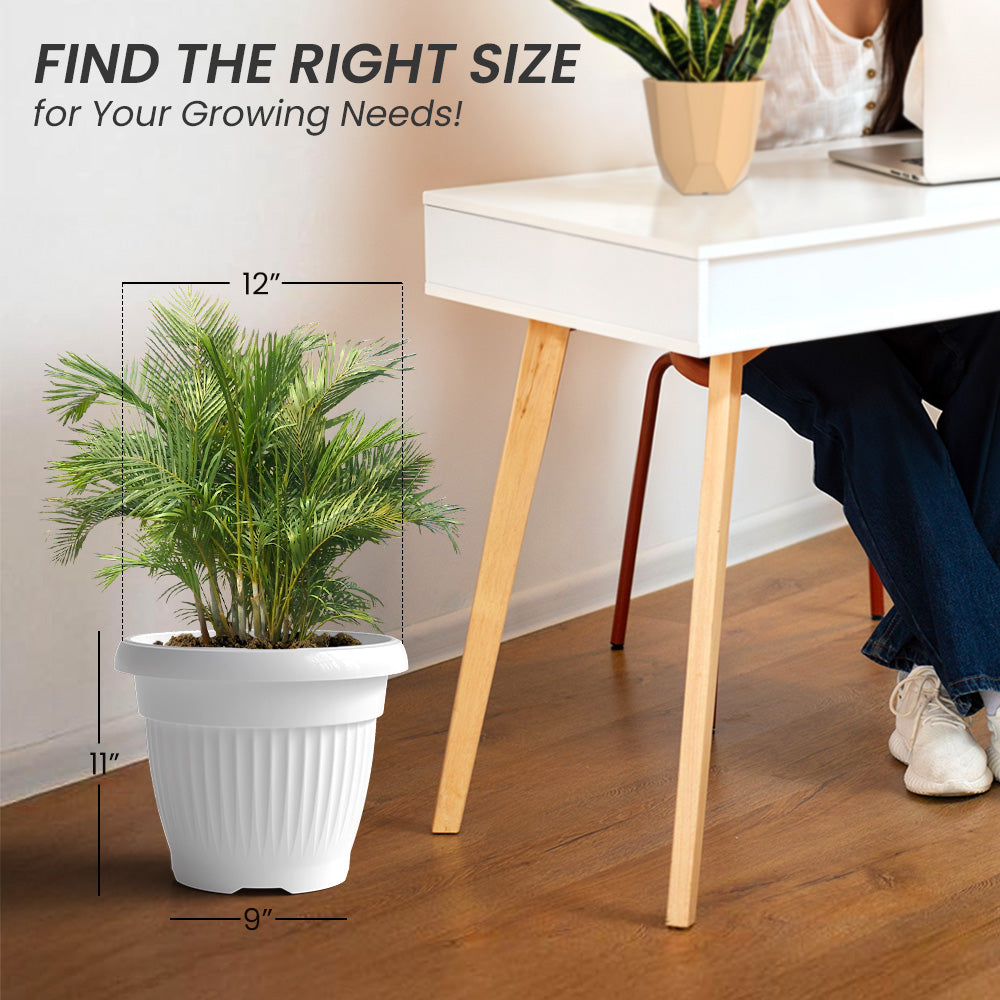 SHERA | BLOOM PLANTER