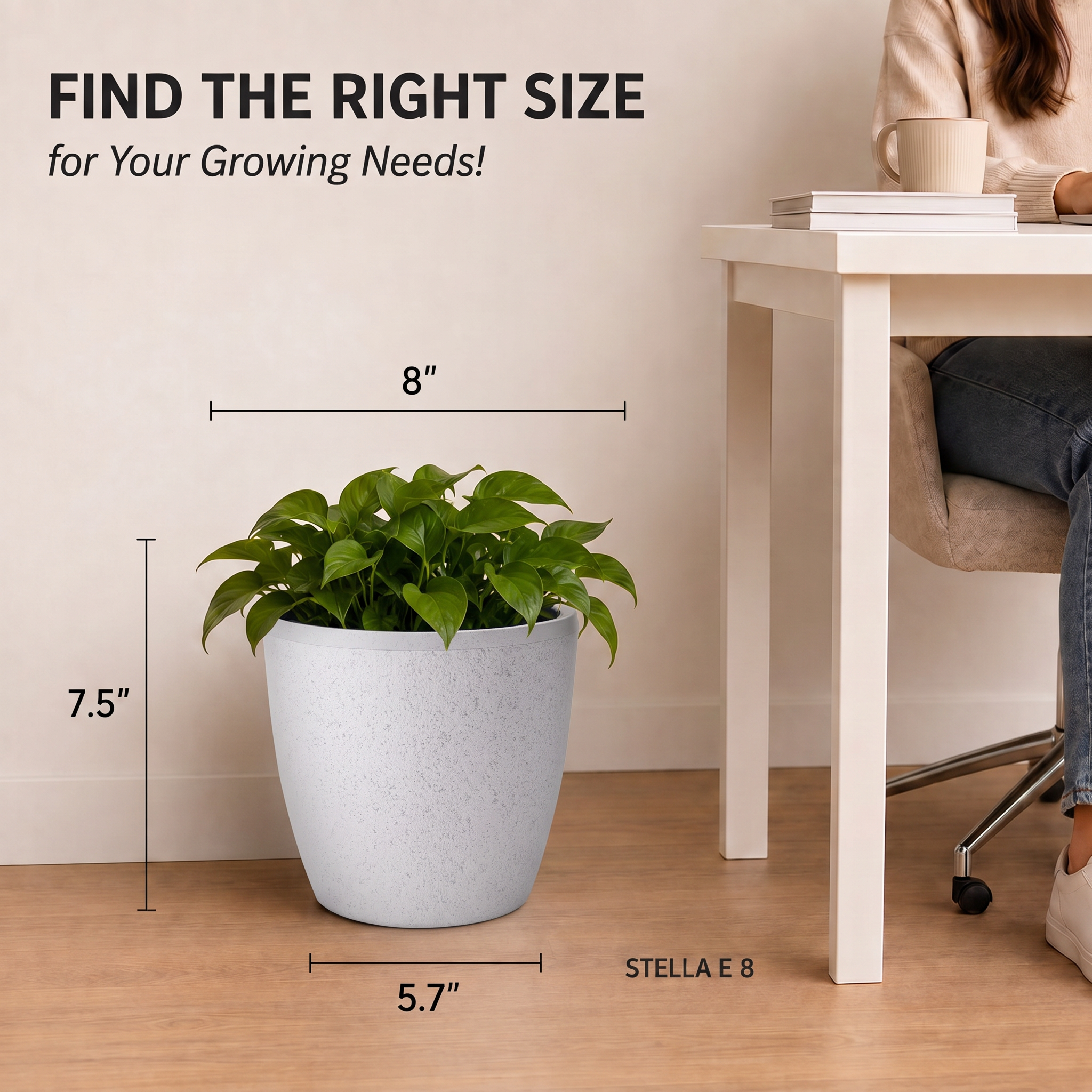 SHERA | STELLA E PLANTER