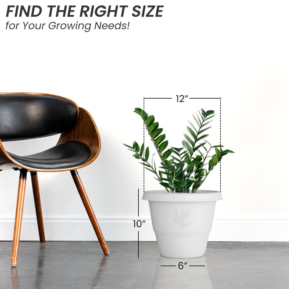 SHERA | RD PLANTER