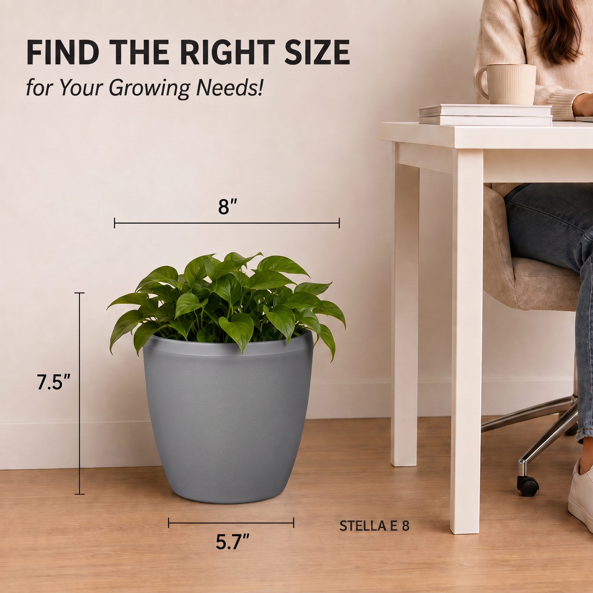 SHERA | STELLA E PLANTER