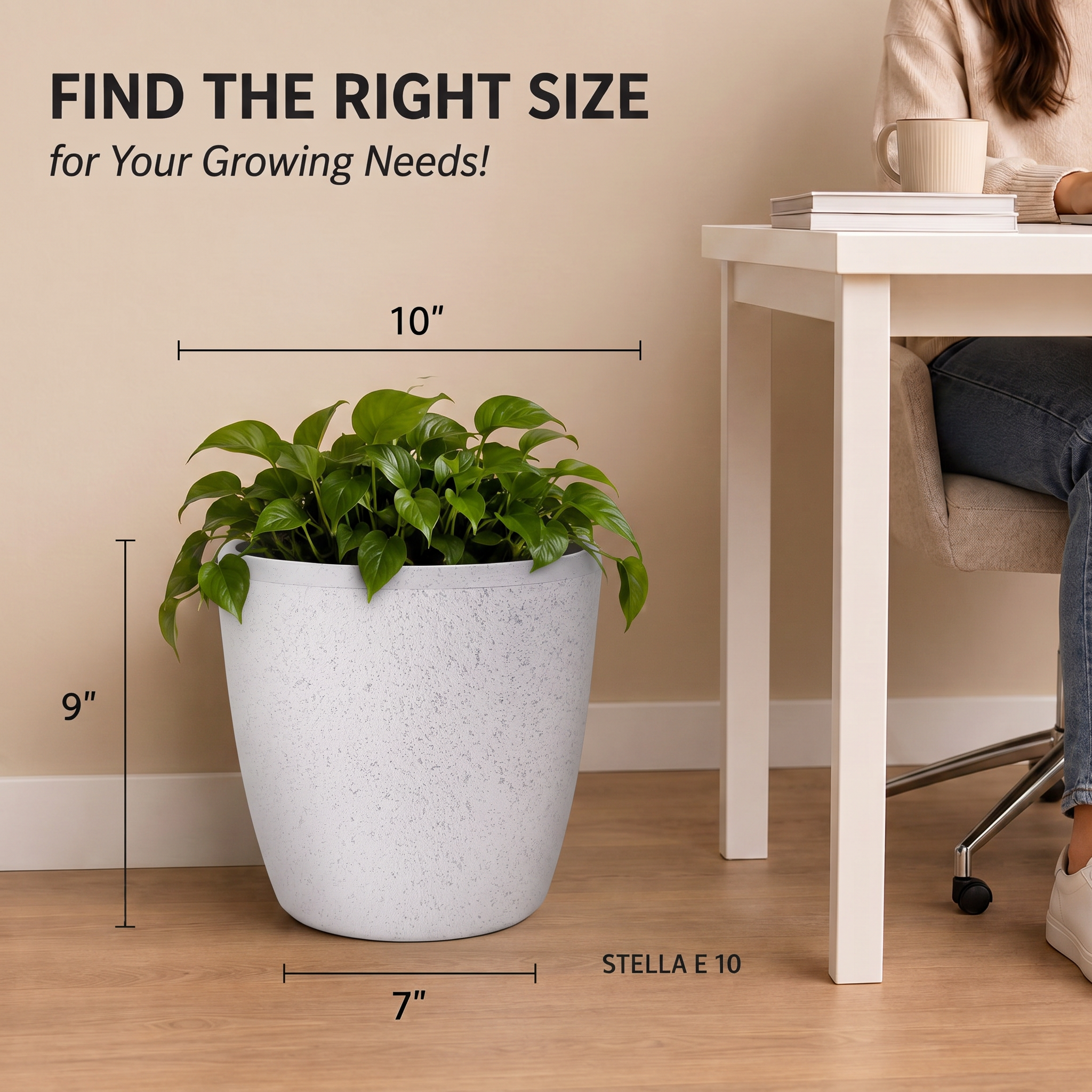 SHERA | STELLA E PLANTER