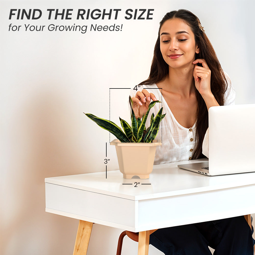 SHERA | OCTA PLANTER SET OF 12