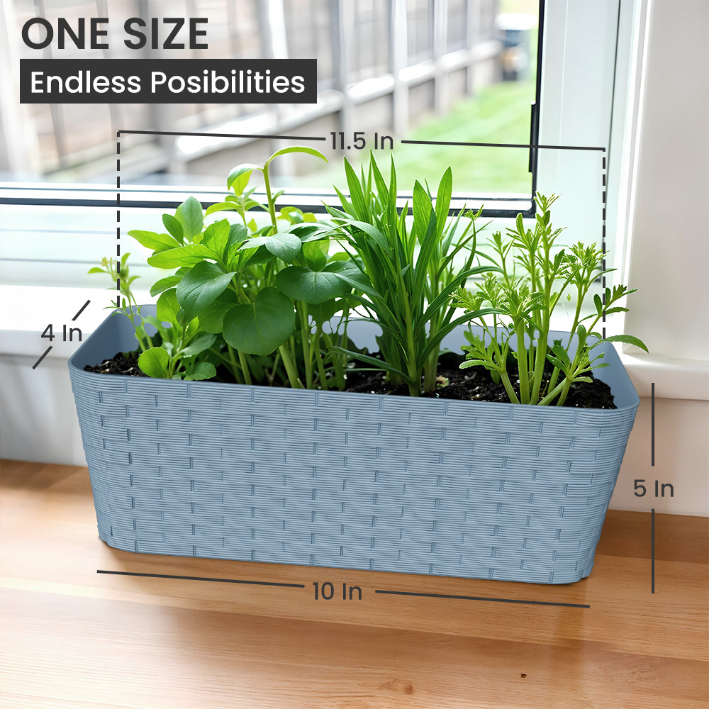 SHERA | RATTAN TRAY
