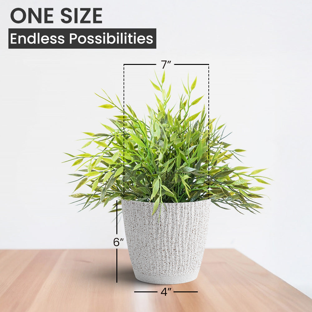 SHERA | EVA PLANTER