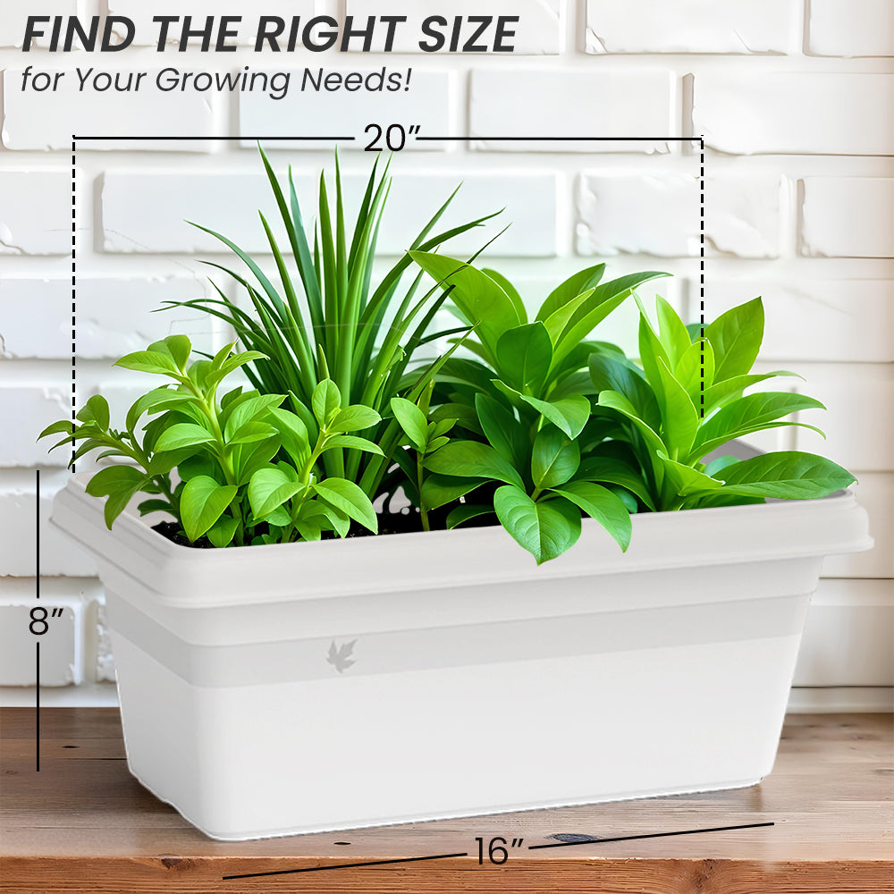 SHERA | TP PLANTER