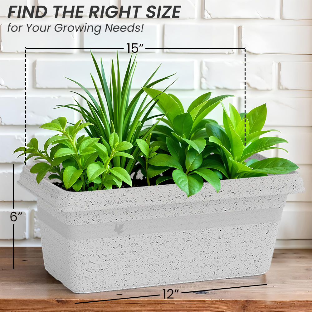 SHERA | TP PLANTER