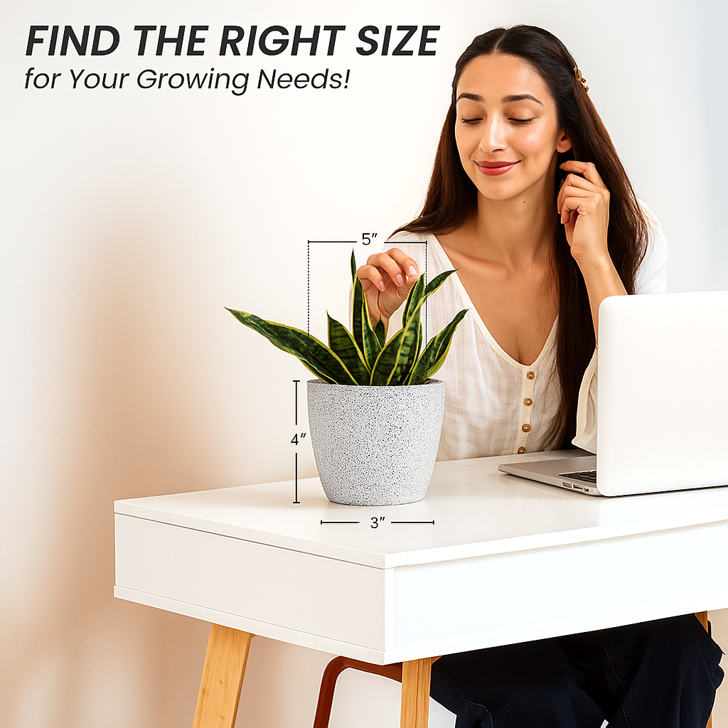 SHERA | STELLA PLANTER